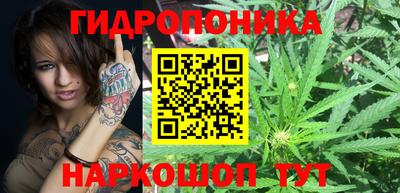 индика Ипатово