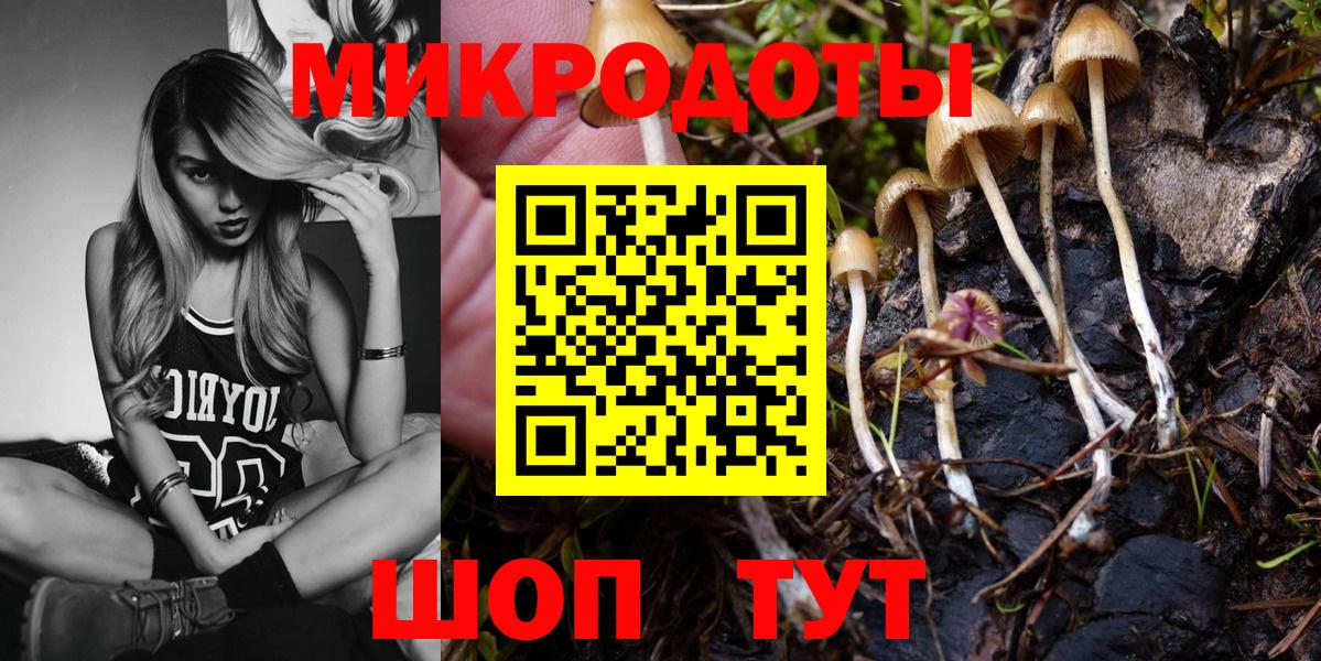 Галлюциногенные грибы Cubensis  Псилоцибиновые грибы мухоморы  сколько стоит  Вход с VPN  Ленинск-Кузнецкий 